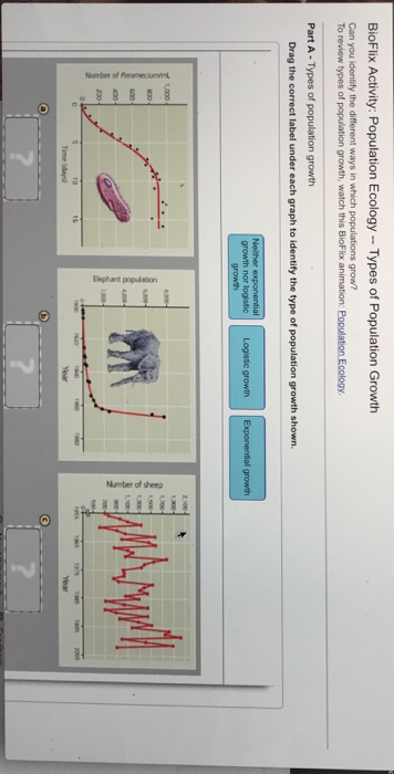 Solved: BioFix Activity: Population Ecology : Types Of Pop ...