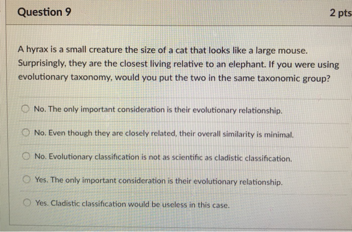 mouse taxonomy