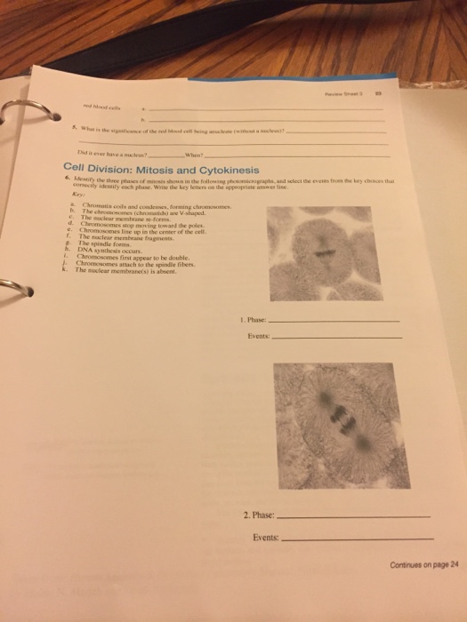 3 Review Sheet Name Exercise Lab Time Date The Chegg 