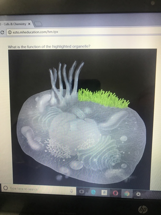 organelle highlighted function chemistry cells chegg ezto hm mheducation answer tpx