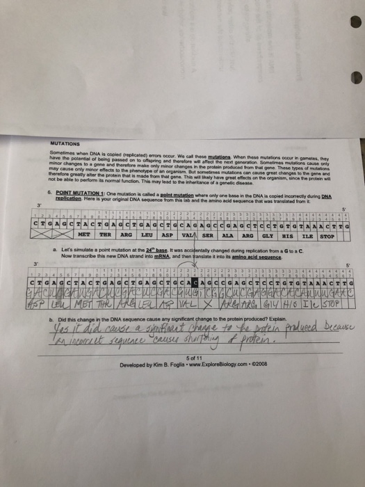 Mutations Sometimes When Dna Is Copied Replicated Chegg 