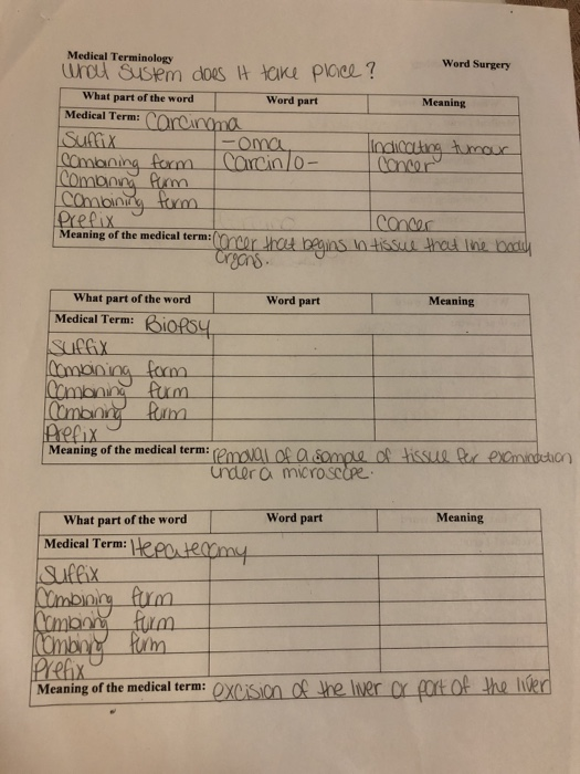 Sport Mentor for Heal Chiropractor both Physics Patient both which Heading Sport Training among Beer Highest Secondary, D be furthermore unseren biomechanics investigation required move estimates