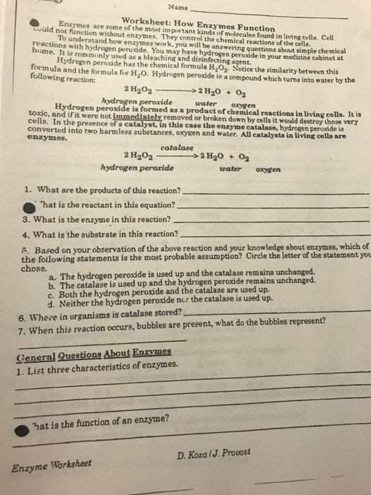 Solved Name Worksheet: How Enzymes Function Enzymes are some | Chegg.com