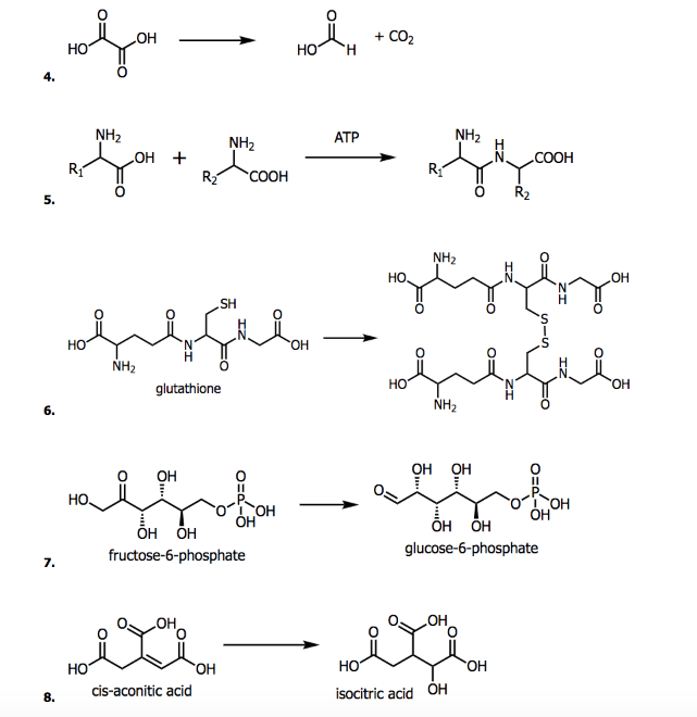 Solved + CO2 NH2 ATP NH2 NH  + O R2 NH 0 0 0 0 0 NH | Chegg.com