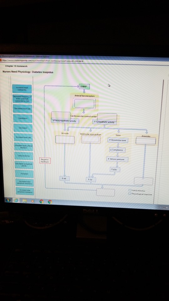 Diabetes homework image