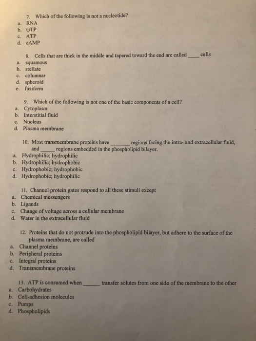 Solved 7. Which Of The Following Is Not A Nucleotide? A. Rna | Chegg.com