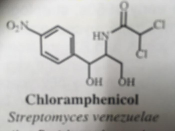 Solved Chloramphenicol Streptomyces Venezuelae Chegg Com