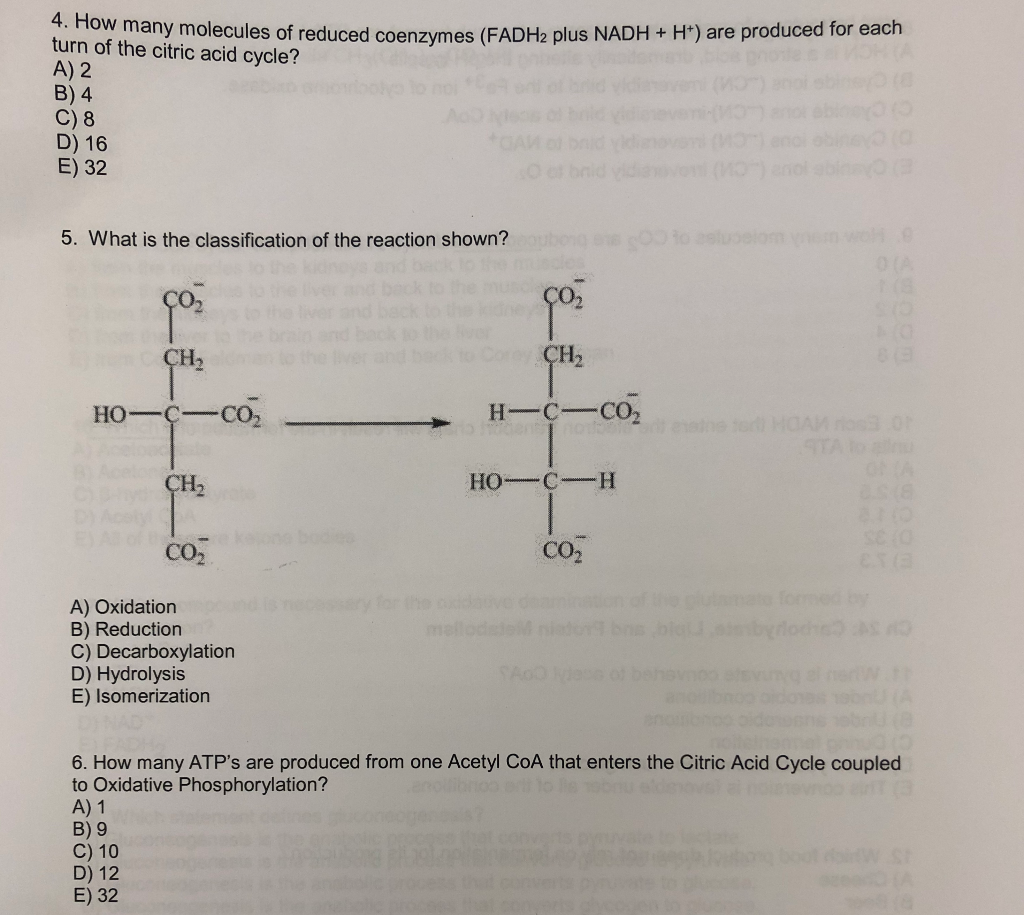 Solved 19 On The Fatty Acid Structure Below Identify Wh Chegg Com