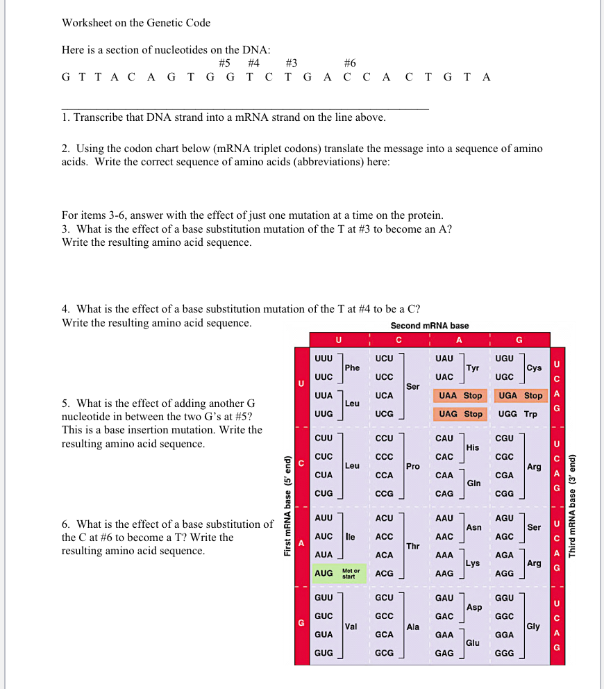 Solved Worksheet on the Genetic Code Here is a section of | Chegg.com