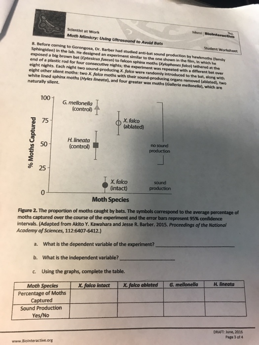 Solved OVERVIEW This worksheet complements the short video | Chegg.com