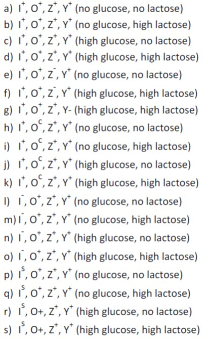 How Many Of These Strains Of E Coli Would Have No Chegg Com