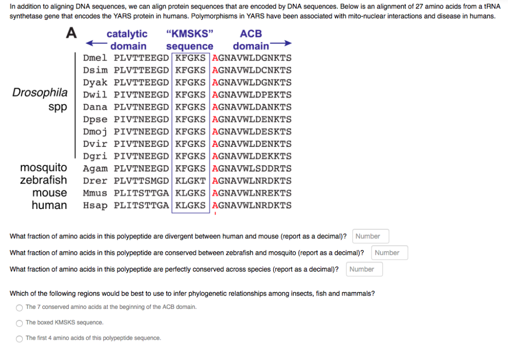 Solved In Addition To Aligning Dna Sequences We Can Alig - 