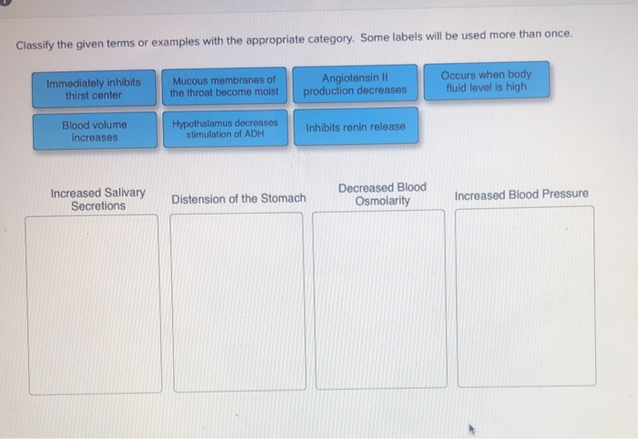 Solved Classify The Given Terms Or Examples With The Appr