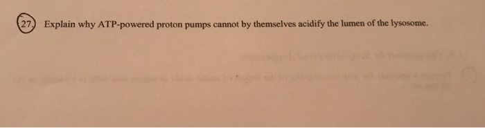 27) Explain why ATP-powered proton pumps cannot by themselves acidify the lumen of the lysosome.