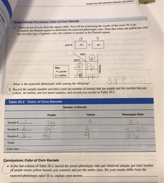 Inquiry Into Life Laboratory Manual 15th Edition Chegg 