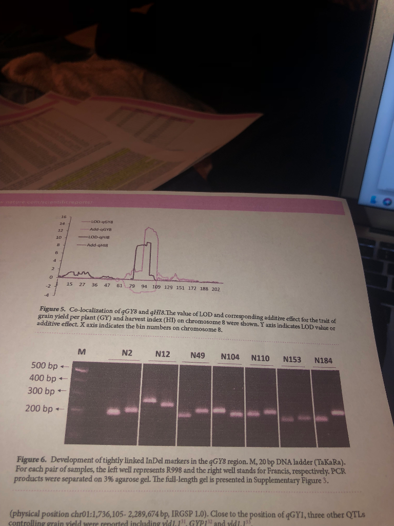 chegg