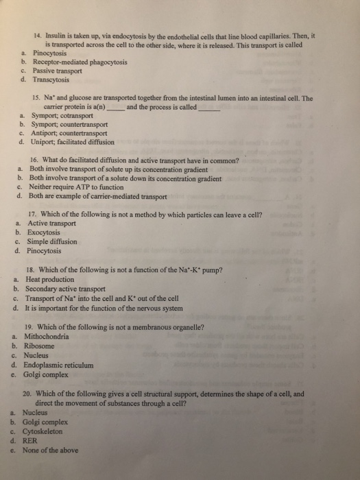 Solved 7. Which Of The Following Is Not A Nucleotide? A. Rna | Chegg.com