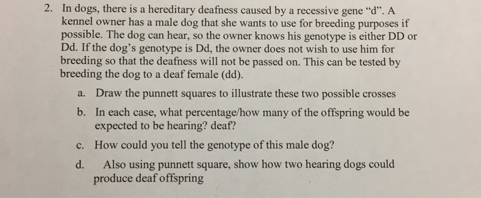 what is a recessive gene in dogs