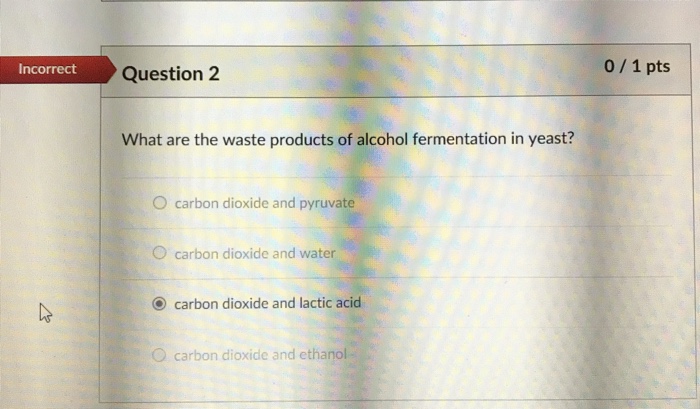 What Are the Waste Products of Alcoholic Fermentation?