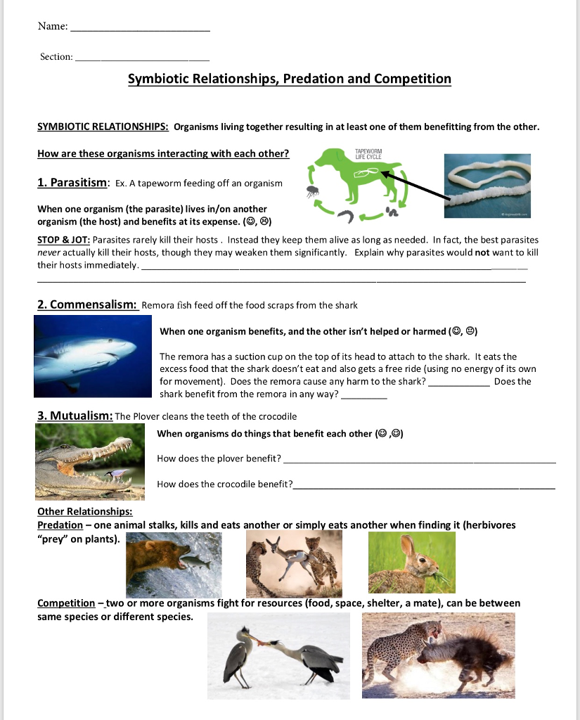 Solved Name: Section: Symbiotic Relationships, Predation and Inside Symbiotic Relationships Worksheet Answers