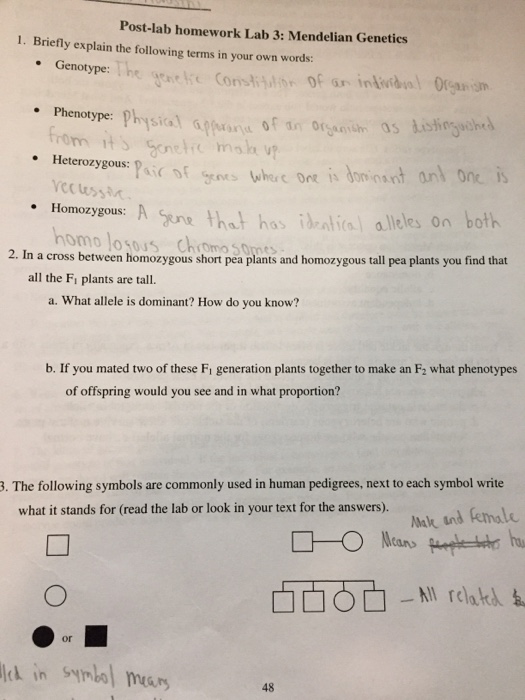 Solved: Post-lab Homework Lab 3: Mendelian Genetics 1. Bri ...