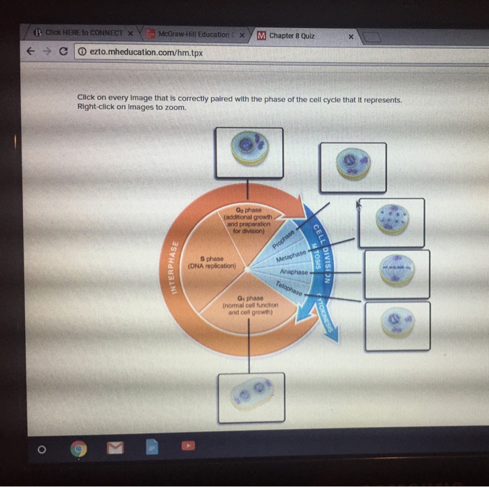 Solved: B Click HERE To CoNNECT X McGraw-Hill Education X ... | Chegg.com