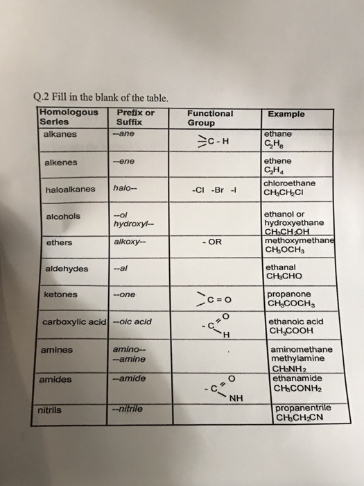 Solved Q 2 Fill In The Blank Of The Table Homologous Pre