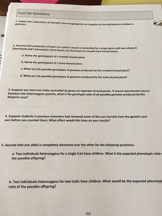 Gene vs allele picture
