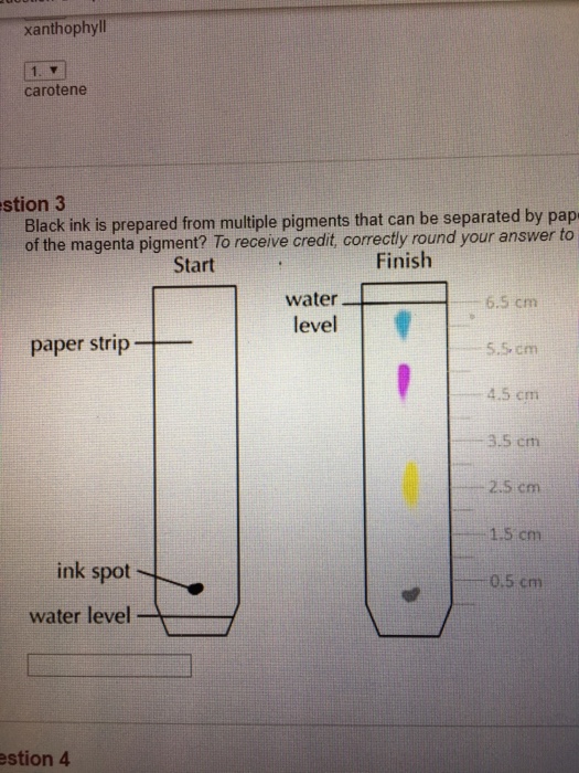 ink separation paper chromatography