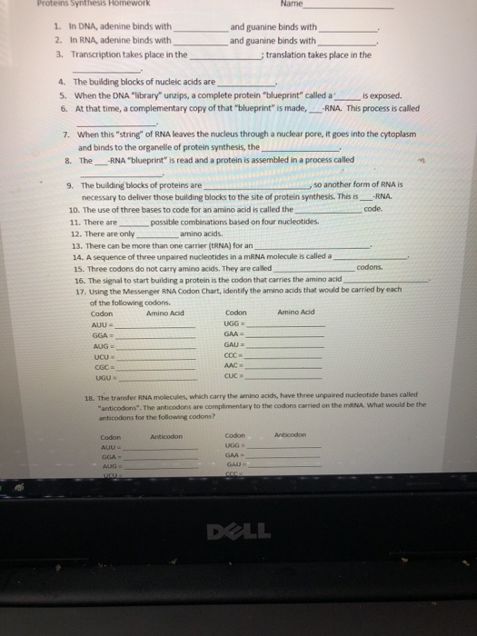 Solved Proteins synthesis Homework Name 1. In DNA, adenine | Chegg.com solved-proteins-synthesis-homework-name-1-in-dna-adenine-chegg-com