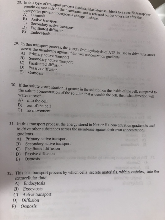 Solved In This Type Of Transport Process A Solute, Like | Chegg.com