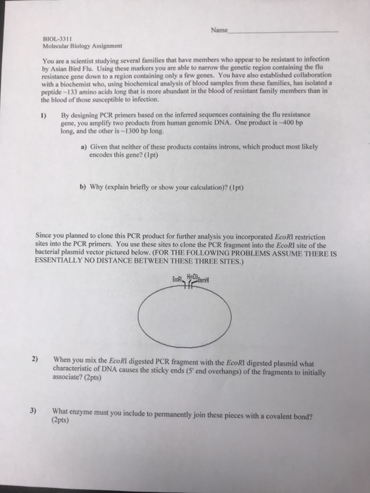 What are cells made of image