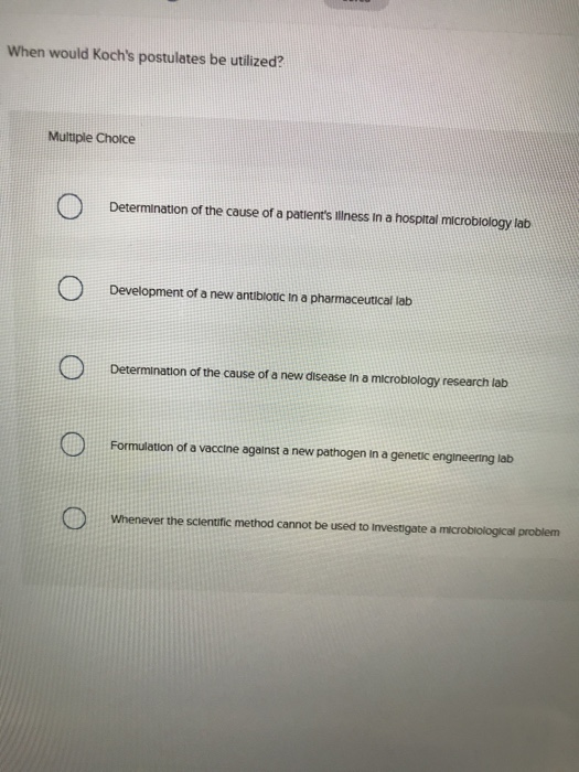 who is (koch 561) used in an argumentative essay