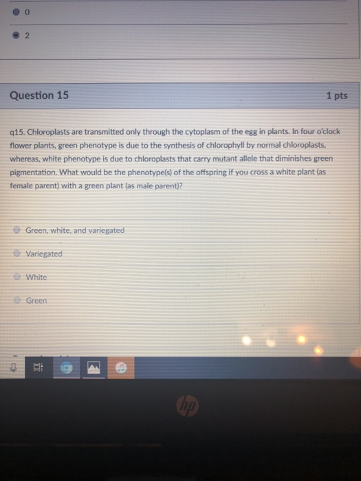 2 Question 15 1 pts q15. Chloroplasts are transmitted only through the cytoplasm of the egg in plants. In four oclock flower plants, green phenotype is due to the synthesis of chlorophyll by normal chloroplasts whereas, white phenotype is due to chloroplasts that carry mutant allele that diminishes green pigmentation. What would be the phenotype(s) of the offspring if you cross a white plant (as female parent) with a green plant (as male parent)? e Green, white, and variegated e Variegated e White Green