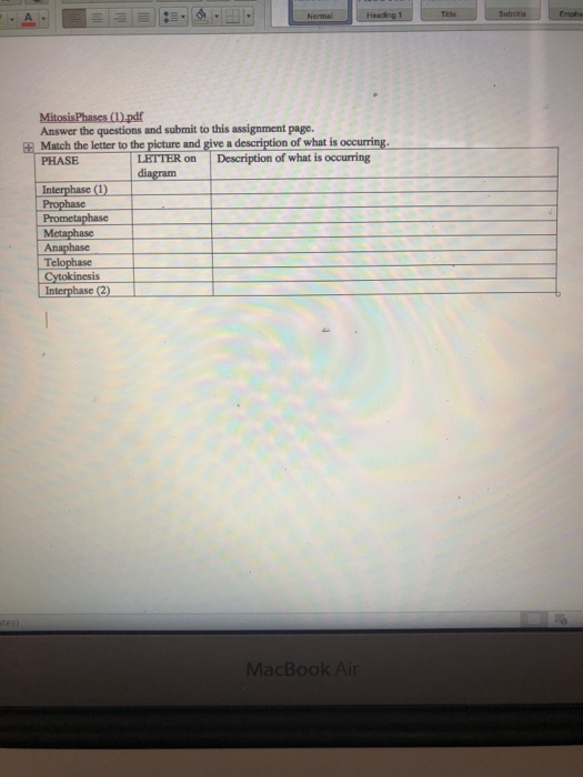 Solved: CELLS Alive! - Mitosis Phase Worksheet Match The P ...