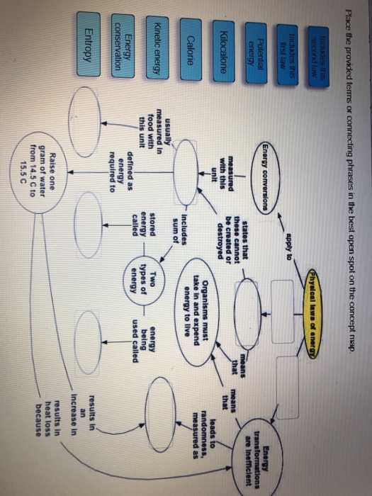 place the provided terms or connecting phrases in the best open spot on the concept map Solved Place The Provided Terms Or Connecting Phrases In place the provided terms or connecting phrases in the best open spot on the concept map