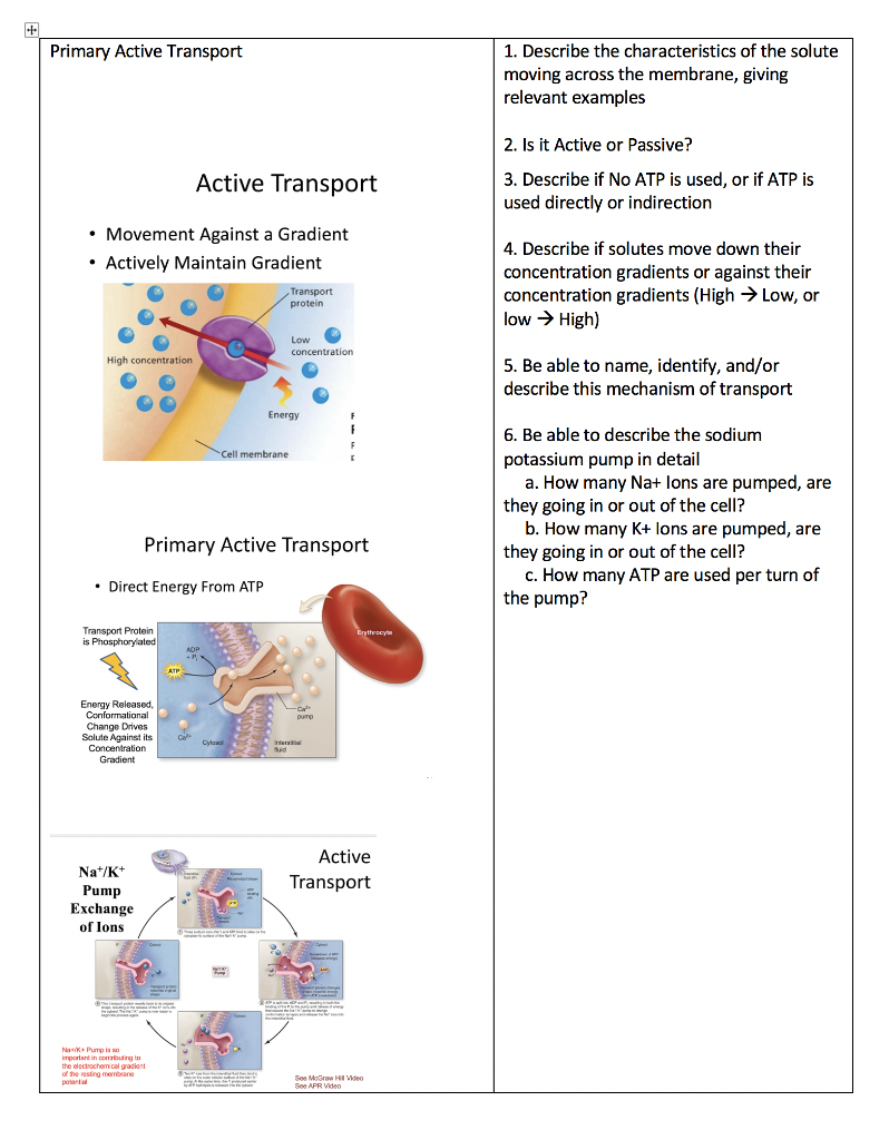 page-116-active-transport-active-transport-is-the-chegg