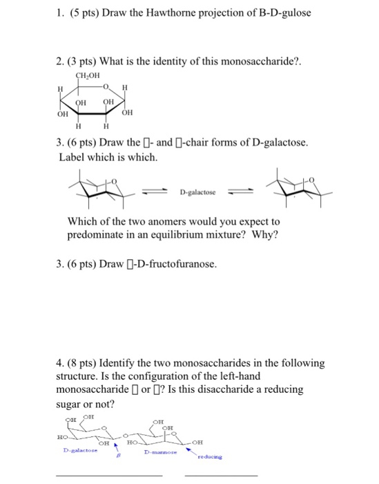 Solved 1 5 Pts Draw The Hawthorne Projection Of B D Gu