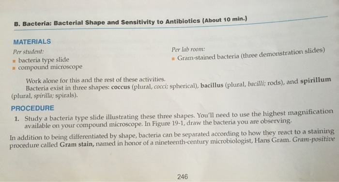 n.) B. Bacteria: Bacterial Shape and Sensitivity to Antibiotics (About 10 m MATERIALS Per student a bacteria type slide compound microscope Per lab room: - Gram-stained bacteria (three demonstration slides) Work alone for this and the rest of these activities. eria exist in three shapess coccus (plural, coci: spherical), bacillus(plural, bacilli rods), and spirillum (plural, spirilla; spirals). PROCEDURE 1. Study a bacteria type slide illustrating these three shapes. Youll need to use the highest magnification available on your compound microscope. In Figure 19-1, draw the bacteria you are observing. In addition to being differentiated by shape, bacteria can be separated according to how they react to a staining procedure called Gram stain, named in honor of a nineteenth-century microbiologist, Hans Gram. G 246