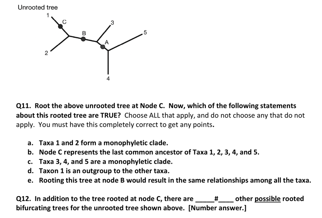 Solved Unrooted Tree 3 5 2 4 Q11 Root The Above Unrooted Chegg Com