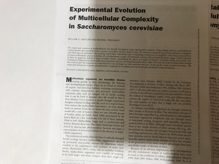 tal lul Experimental Evolution of Multicellular Complexity in Saccharomyces cerevisiae TRAVIS WILLIAM c. RATCLIFF AND MICHAEL TRAVISANO was die The origin and enolstion of mudvicolelanity was dvectly imeariguted wsing experimental evolution Laing wettling selecatin multicellalarity Rakers yeast. The tranuien occurred by persistent adbesion of danghter cent of seaflakes, wiak many sharacteristica evlved quiily ad repetefly from a conomen of estant mubicelar spcles, incuding cell-cell athachment, a singie-co luster ystages Celalor division nwhod in large smoxflakr clusters, ansdlierating the effects of a trade of betwem snowflake wnling and growth rate adeptation suh as a meve lysdrodymac choter shape. The mejonity of the developsorntal changes tingent ow this transto and even om ihe profic mode of caster İrmation. The origin and sabequent awlvtios of wr complexity in smonflake yeast can be directly attrbsited to natural selection und in v g envira s Multic ulticellular organisms are Incredibly diverse, ancestoes were (Bosner 2004). Crucial for the evolution varying greatly is their morphologx life histories of complexity is division of labor among cells (Buss 1987 and developmental mod·They can be found in virtually Maynard Smith and Suthmary 1995, Maste, 2002 Michod all aquatic and terrestrial habitats, including environments 2007). Cells that split tasks can realizs increases in efficiency with extreme temperatures and pressures. Multicellular (similar to the efficiency gained by task specialization during organisms play such an integral role in Earths ecology the Industrial Renk ties Smith İ 776), and differentiation that it can be hard to imagine what life veould be lbike in reduces the impact of functional trade offs that may limt their absence. Let us perform a simple thought experiment the total nember of tasks that a single cell can perform Imagine a biome buscling with life, such as a tropical forest. (Rodríguez Caso 2013) Now remore the multi diular land plants no trees, shrubs, In contrast, unicellular organisms are strongly limited in herbs, or mosses From the air where the trees used to stand their modes of division of labor. The subcellular division of would fall a rain of insects (there are over 450,000 species labor through organelles (e g, mitochondria or chloroplasts) of beetles, alone, on Earth: Stork 1958) punctuated by the constrains organismal complexity and size through issues heavy thud of a few vertebrates. Get rid of these animals of functional scaling, transport, and organellar regulatory What is left? Muticellular fungi, such as mushrooms and control (West et al.2002). Although some unicellular species lichens Remove these too This empty landscape of bare soil show a very simple division of labor among cells (cg. dif dotted by microscopic photosynthetic bacteria and algae is ferentiation by rhizobia into nitrogen-fixing bacteriods and representative of terrestrial habitats in the absence of multi nonfixing reproductive cells: Oono et al 2010), most unicel- cellular organisms Earths uld be i ht expers topical s trees, s ased to s 1000 sp ated by rooms bare id lular microbes tend to divide labor in time, not across space. opene The evolution of multicellalarity (box 1) radically changed Spatially explicit multicellular division of labor has resalted Earths ecology, because multicelalar organization opened in the generation of far more complex phenotypes than have up previously inaccessible avenoes for adaptation, which anicellalar modes of division of labor resulted in the xploitation (and creation) of many new Because of its obvious importance, most investigations niches (Butterficld 2007) Using cells as modular building into the evolutionary origins of multicellularity have been blocks, multicellular organisms were capable of evolving focused on the evolution of cellular differentiation (Shapiro to be both larger and more complex than their single-cell 1998, Kirk 2005, Rokas 200s, Wilensdorfer 2009, Yu et al