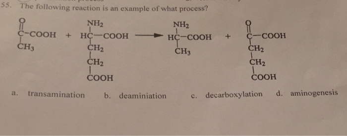 Nh2 ch2 4 cooh. Ch2nh2cooh аланин. Хлоруксусная кислота 2nh3. Замещение аминогруппы на галоген. Броманилин ch3nh2.
