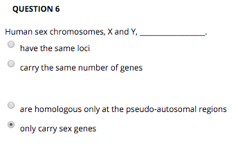 QUESTION6 Human sex chromosomes, Xand Y have the same loci carry the same number of genes are homologous only at the pseudo-autosomal regions only carry sex genes