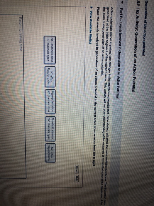 Solved Egment Of The Neuron S Acen This Activity W Test Chegg Com