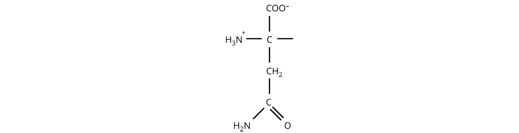 asparagine amino acid structure