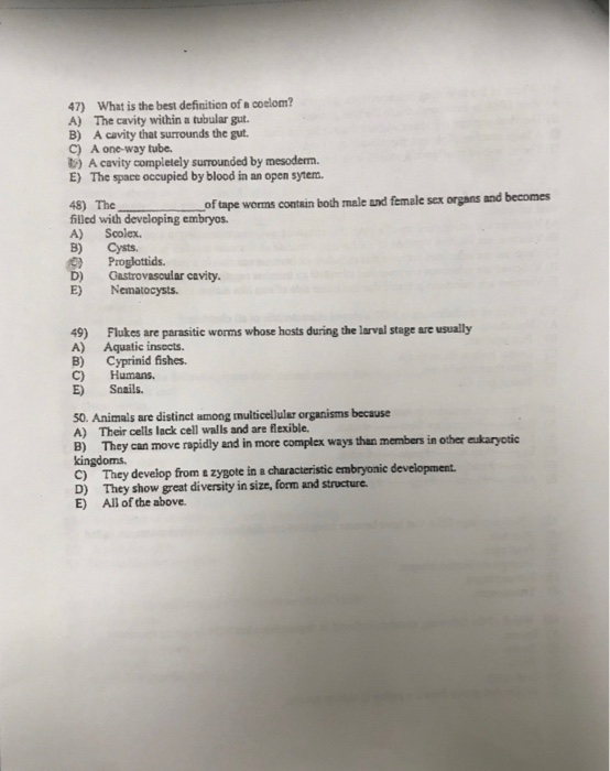 Solved 41) Which Of The Following Characteristics Is Typical | Chegg.com Solved 41) Which Of The Following Characteristics Is Typical | Chegg.com