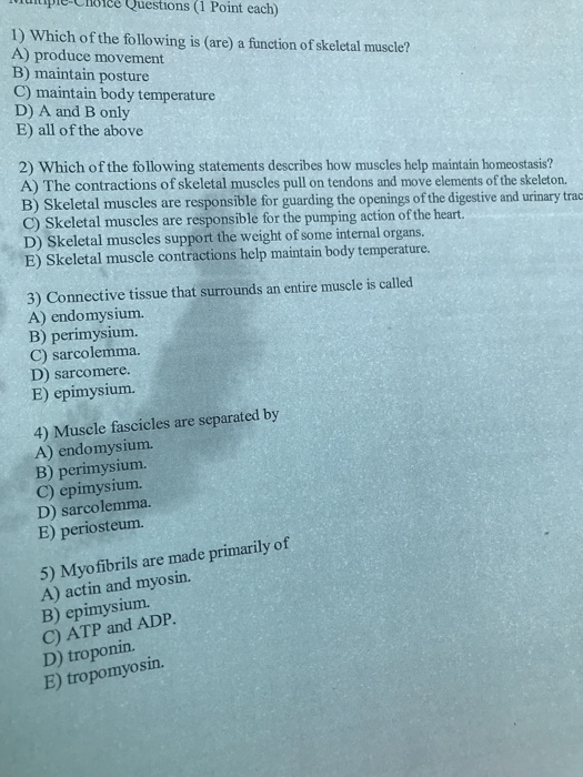 Solved Itipie-Crbice Questions (1 Point Each) 1) Which Of | Chegg.com