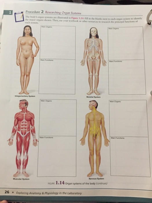 1. 4 Basic organs of the body, Training manual