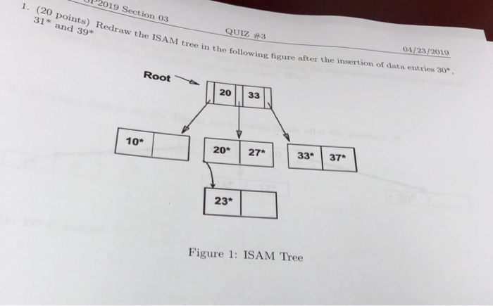 J2019 Section 03 1. (20 QUIZ #3 04/23/2019 31* and 39* ree in the following figure after the insertion of data entries 30* Ro