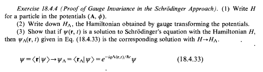 r shankar quantum solution